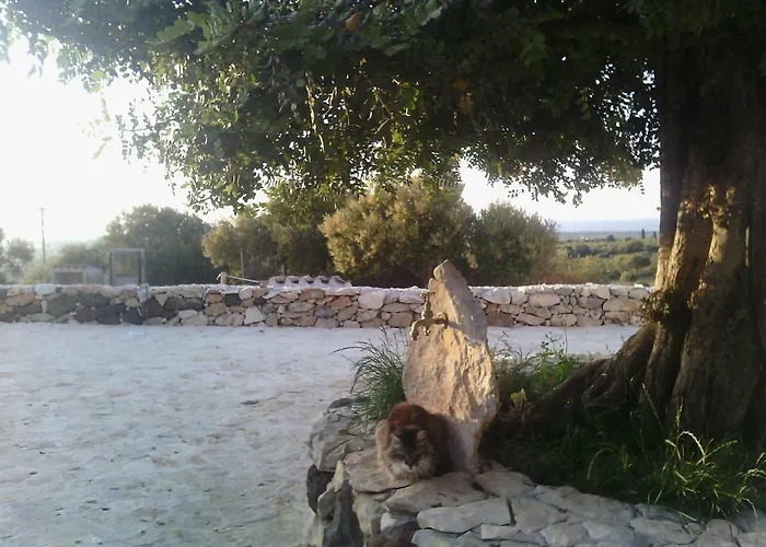 Agriturismo Sa Conca Ruia